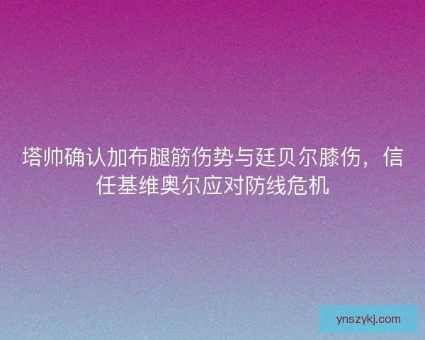 塔帅确认加布腿筋伤势与廷贝尔膝伤，信任基维奥尔应对防线危机