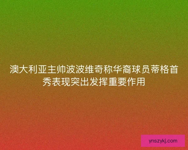 澳大利亚主帅波波维奇称华裔球员蒂格首秀表现突出发挥重要作用 澳大利亚主帅波波维奇称华裔球员蒂格首秀表现突出发挥重要作用