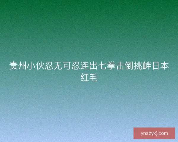 贵州小伙忍无可忍连出七拳击倒挑衅日本红毛