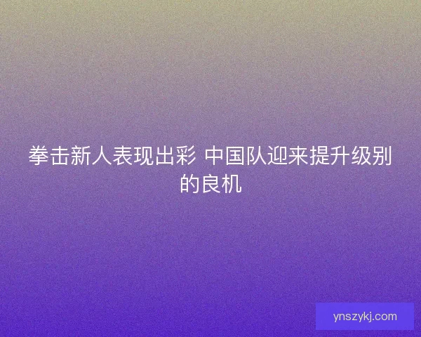 拳击新人表现出彩 中国队迎来提升级别的良机