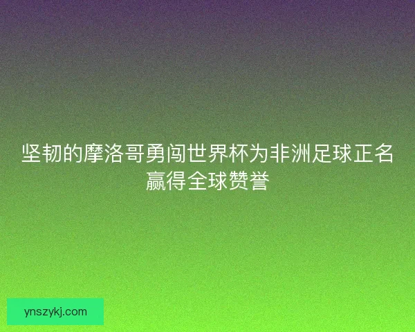 坚韧的摩洛哥勇闯世界杯为非洲足球正名赢得全球赞誉