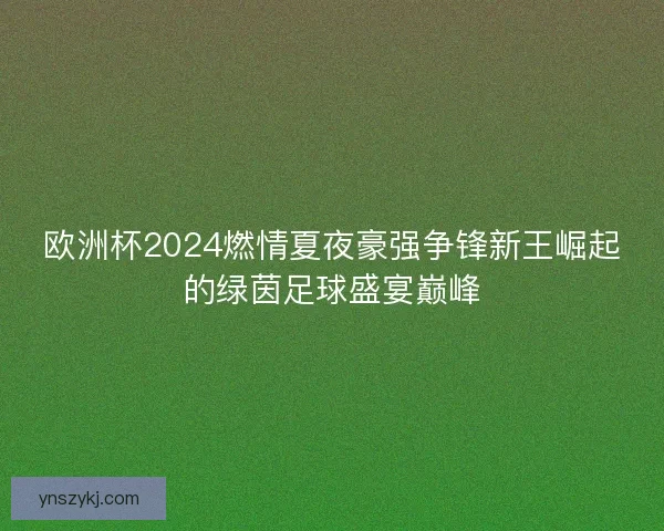 欧洲杯2024燃情夏夜豪强争锋新王崛起的绿茵足球盛宴巅峰